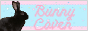 bunnycovenbutton